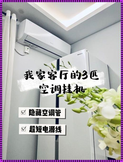 客厅空调算不算阳台餐厅：一场关于空间利用的深度探讨