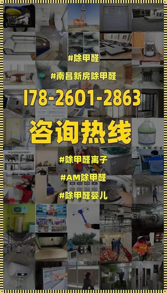 哪里能够除甲醛：揭秘净化室内空气的神秘力量