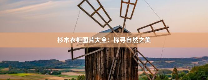 杉木衣柜图片大全：探寻自然之美