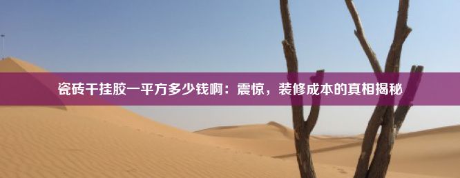 瓷砖干挂胶一平方多少钱啊：震惊，装修成本的真相揭秘