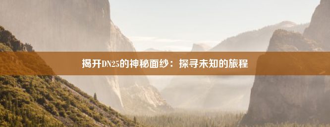 揭开DN25的神秘面纱：探寻未知的旅程