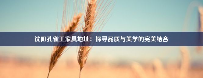 沈阳孔雀王家具地址：探寻品质与美学的完美结合