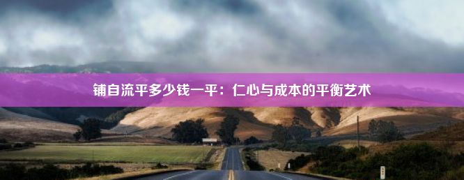 铺自流平多少钱一平：仁心与成本的平衡艺术