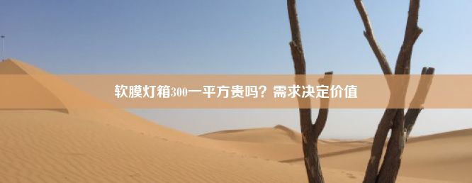 软膜灯箱300一平方贵吗？需求决定价值