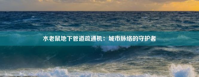 水老鼠地下管道疏通机：城市脉络的守护者