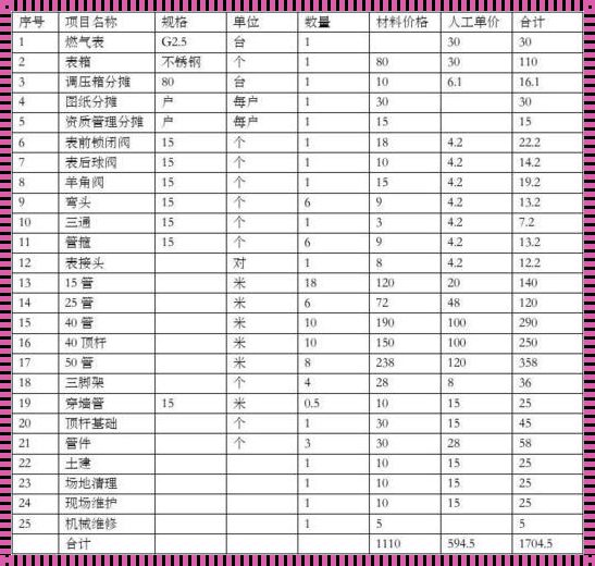 室内暖气管道多少钱一米安装：计划与预算的艺术