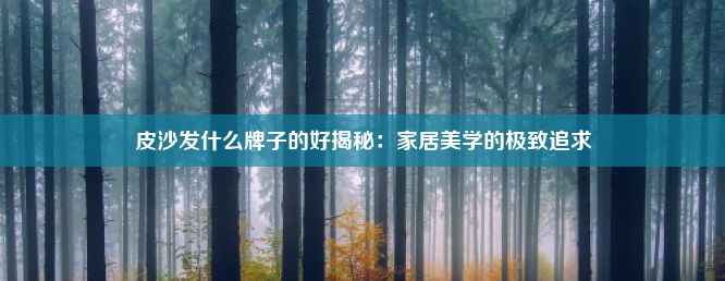 皮沙发什么牌子的好揭秘：家居美学的极致追求