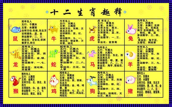 生肖轮回：二中二的16组奥秘