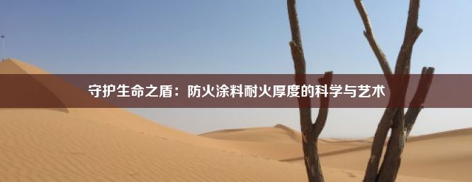 守护生命之盾：防火涂料耐火厚度的科学与艺术