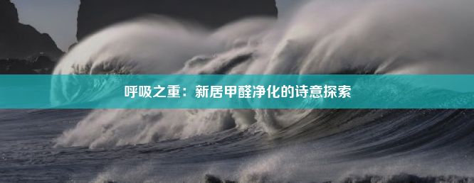 呼吸之重：新居甲醛净化的诗意探索