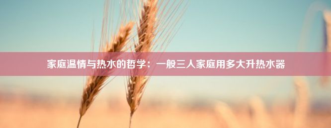 家庭温情与热水的哲学：一般三人家庭用多大升热水器