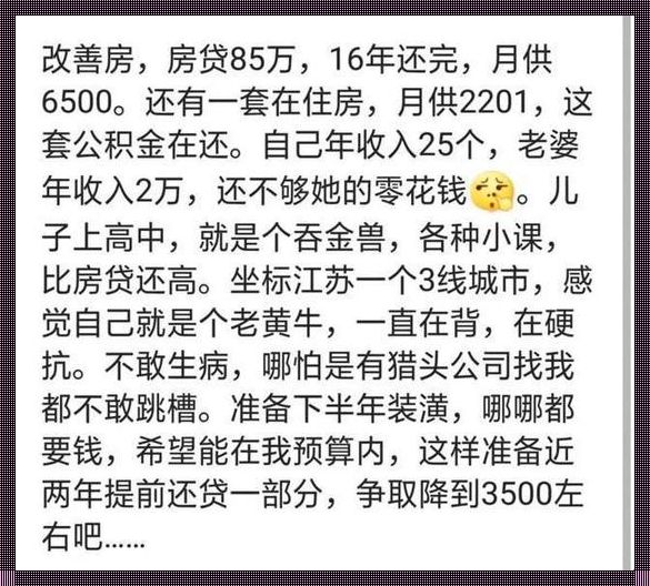 40万房子首付多少最划算：理财与梦想的平衡艺术