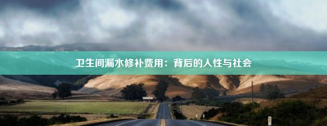 卫生间漏水修补费用：背后的人性与社会