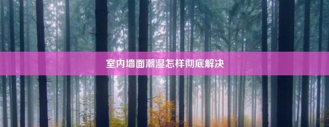 室内墙面潮湿怎样彻底解决