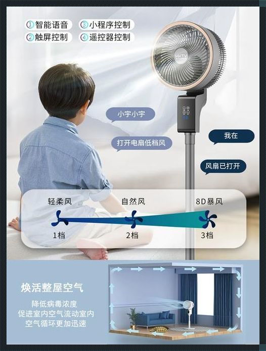 电风扇与循环扇的风之舞