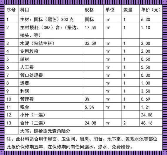 防水工程的成本解析：每平方米的精算与价值