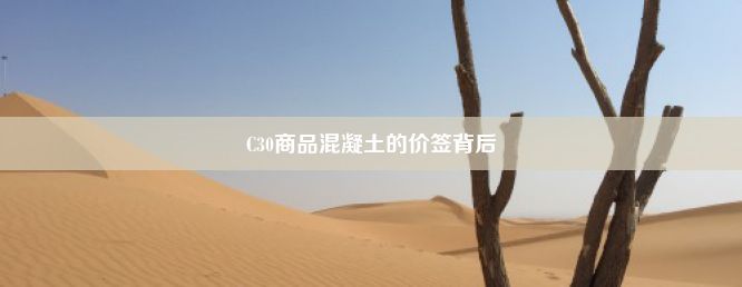 C30商品混凝土的价签背后