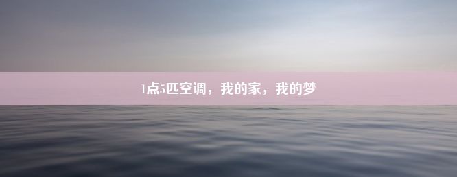 1点5匹空调，我的家，我的梦