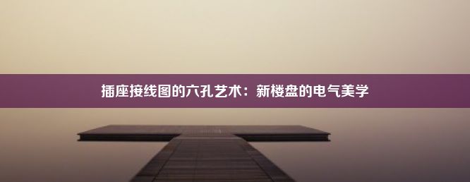 插座接线图的六孔艺术：新楼盘的电气美学