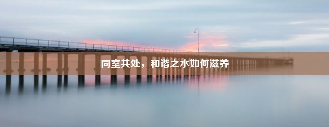 同室共处，和谐之水如何滋养