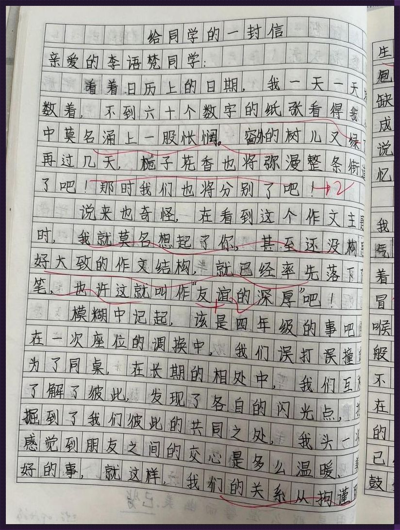 同学故意把我的校服当抹布用作文