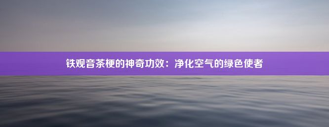 铁观音茶梗的神奇功效：净化空气的绿色使者