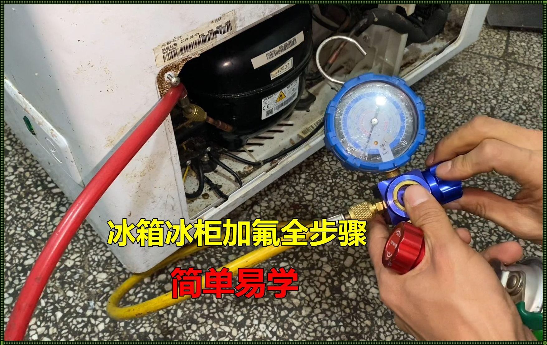 装修界的冷知识：冰箱十年加氟，靠谱吗？