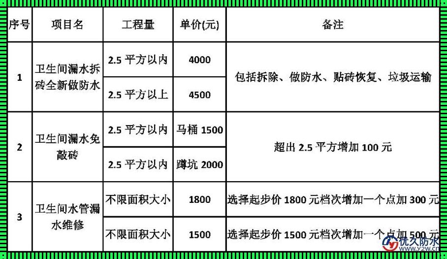 卫生间暗管漏水维修价格：揭秘背后不为人知的秘密