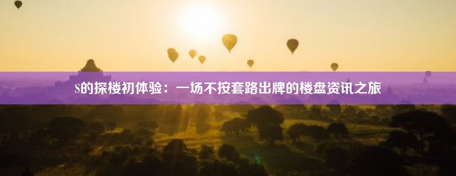 S的探楼初体验：一场不按套路出牌的楼盘资讯之旅