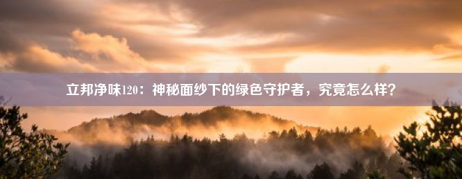 立邦净味120：神秘面纱下的绿色守护者，究竟怎么样？