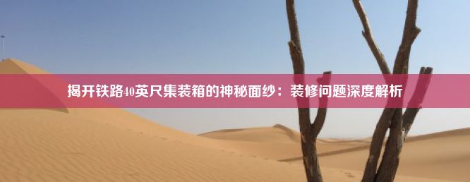 揭开铁路40英尺集装箱的神秘面纱：装修问题深度解析