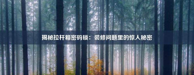 揭秘拉杆箱密码锁：装修问题里的惊人秘密