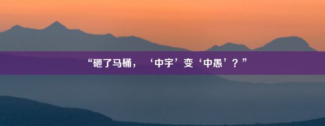 “砸了马桶， ‘中宇’变‘中愚’？”