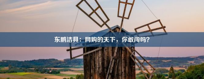 东鹏洁具：网购的天下，你敢闯吗？