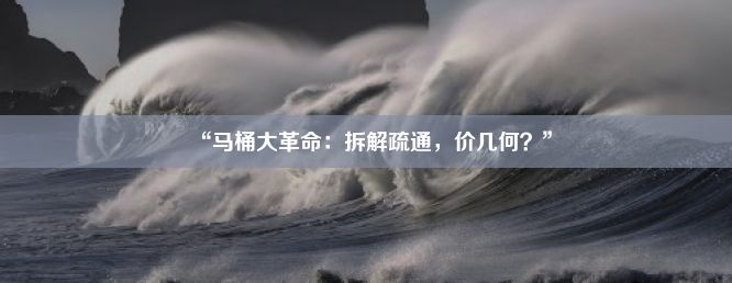 “马桶大革命：拆解疏通，价几何？”