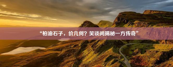 “柏油石子，价几何？笑谈间揭秘一方传奇”