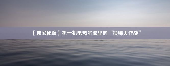 【独家秘籍】扒一扒电热水器里的“换棒大作战”