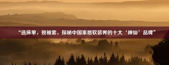 “选床单，挑被套，探秘中国家居软装界的十大‘神仙’品牌”