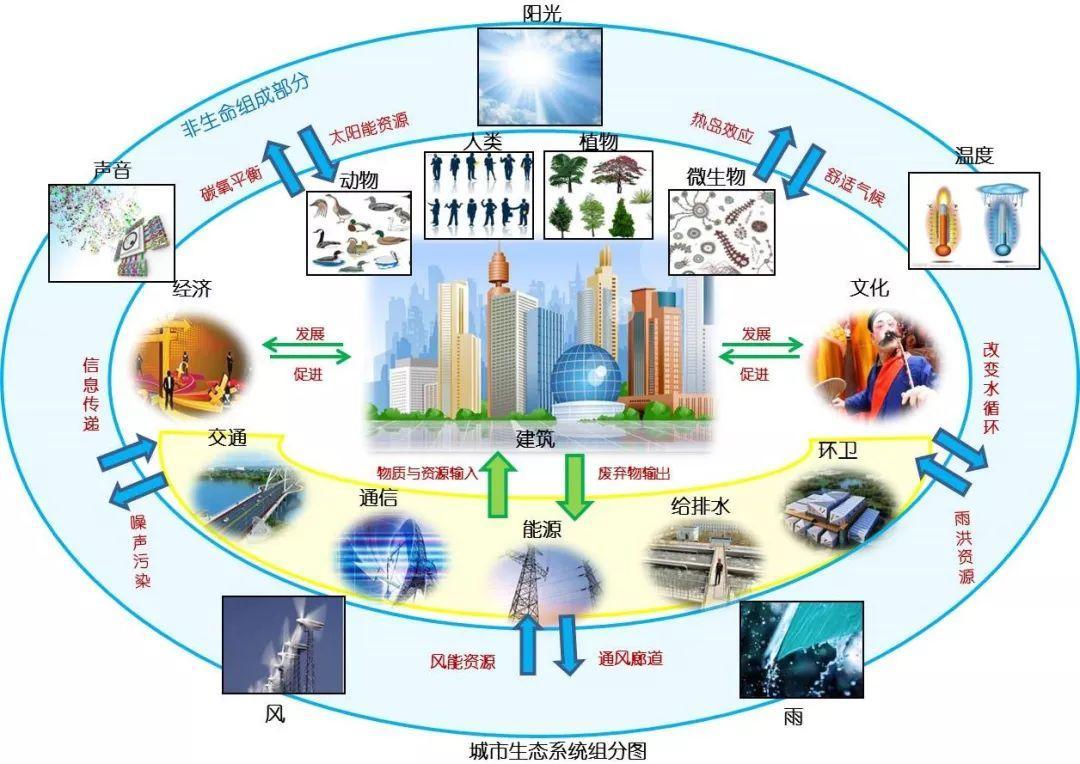 “环境整体设计观”，妙手偶得，还是天降神启？