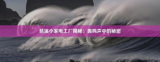 慈溪小家电工厂揭秘：轰鸣声中的秘密