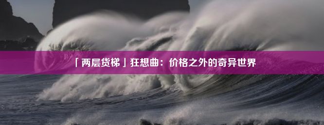 「两层货梯」狂想曲：价格之外的奇异世界