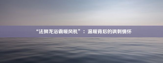 “法狮龙浴霸暖风机”：温暖背后的讽刺情怀