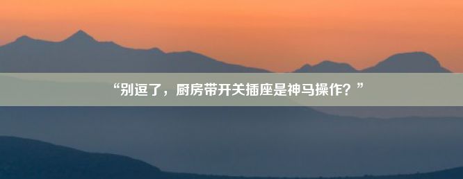 “别逗了，厨房带开关插座是神马操作？”