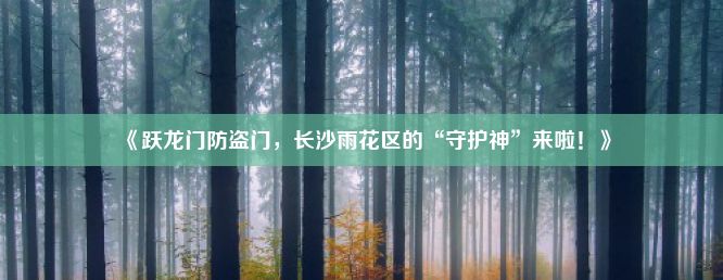 《跃龙门防盗门，长沙雨花区的“守护神”来啦！》