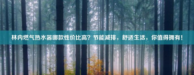 林内燃气热水器哪款性价比高？节能减排，舒适生活，你值得拥有！