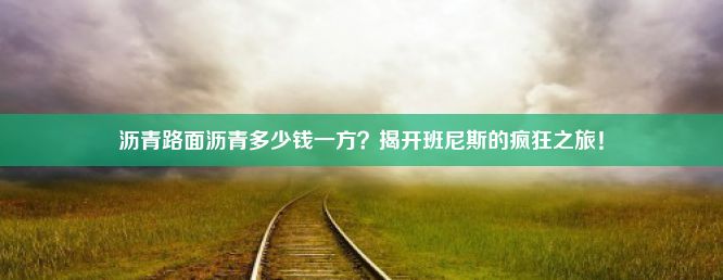 沥青路面沥青多少钱一方？揭开班尼斯的疯狂之旅！