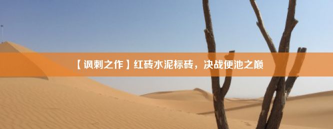 【讽刺之作】红砖水泥标砖，决战便池之巅