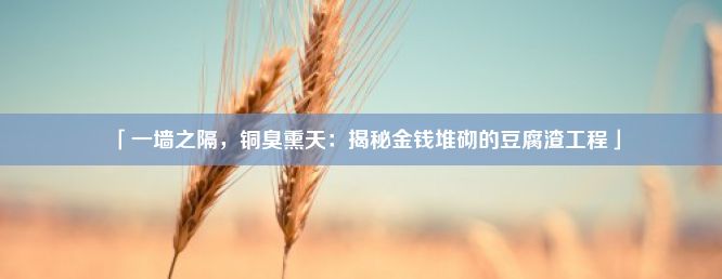 「一墙之隔，铜臭熏天：揭秘金钱堆砌的豆腐渣工程」