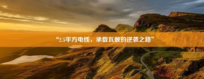 “2.5平方电线，承载瓦数的逆袭之路”
