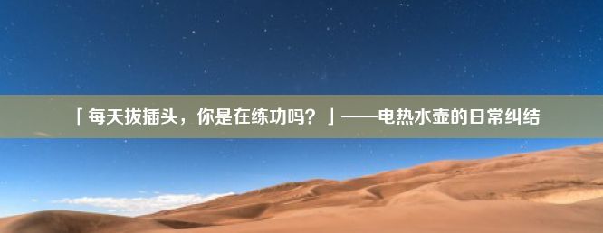 「每天拔插头，你是在练功吗？」——电热水壶的日常纠结